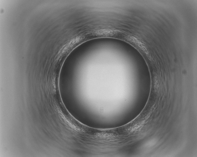 X0000060260633200511010914