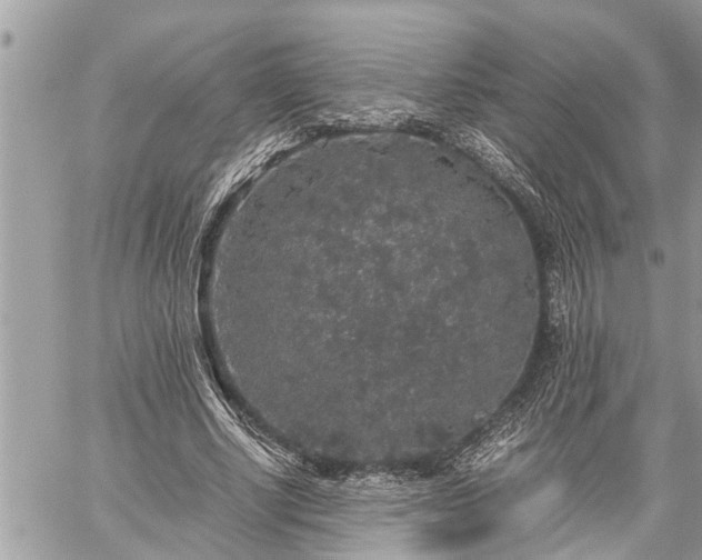 X0000060260634200511010914