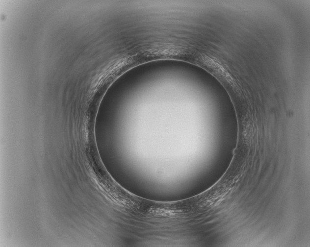 X0000060260635200511010914