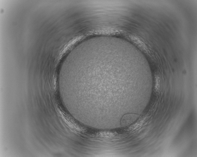 X0000060260636200511010914