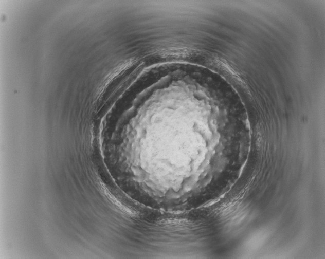 X0000060260637200511010914