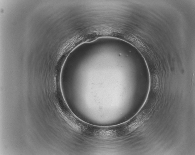 X0000060260638200511010914