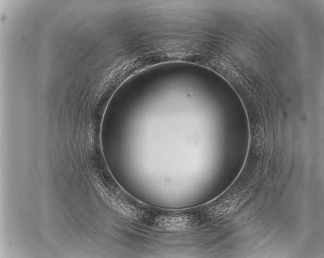 X0000060260639200511010914