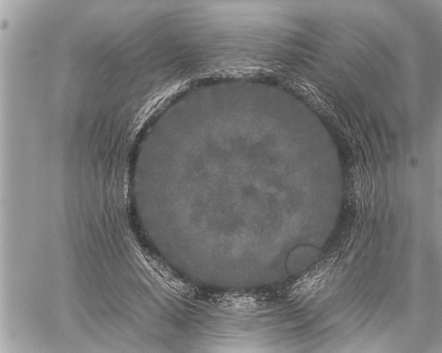 X0000060260640200511010914