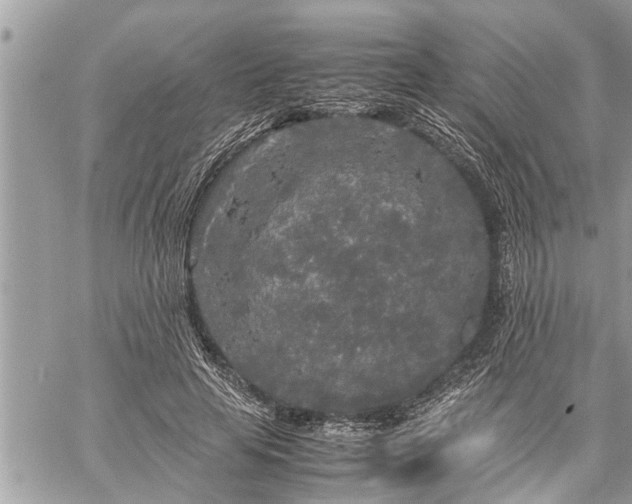 X0000060260641200511010914