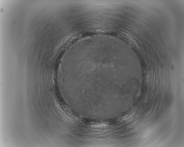 X0000060260643200511010914