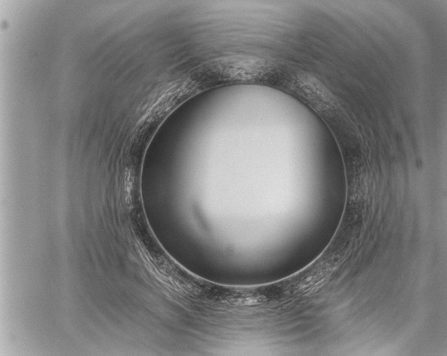 X0000060260646200511010914