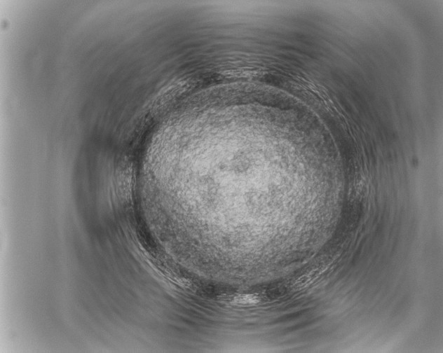 X0000060260647200511010914