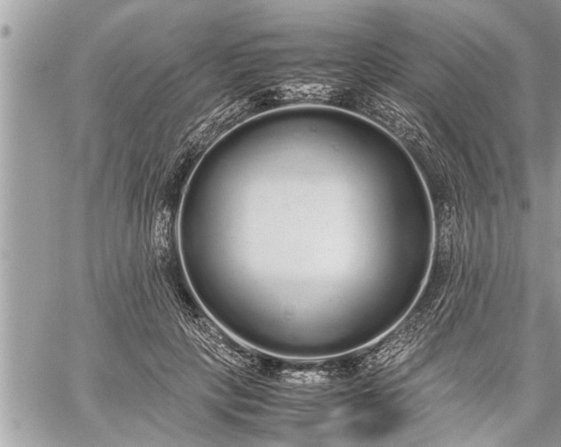 X0000060260649200511010914