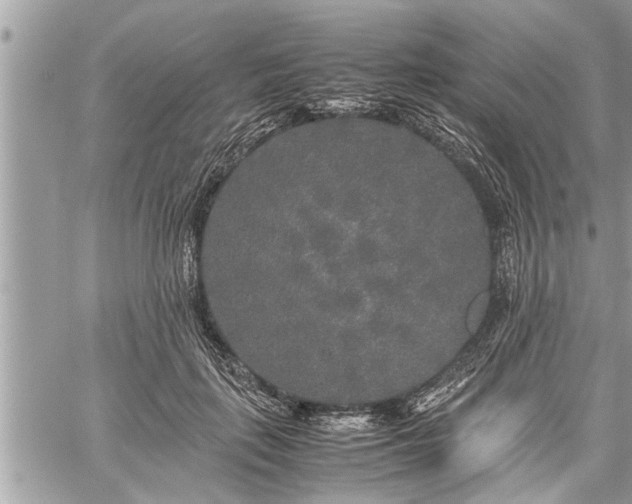 X0000060260651200511010914