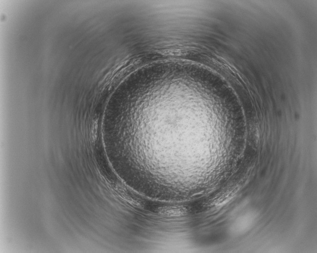 X0000060260652200511010914