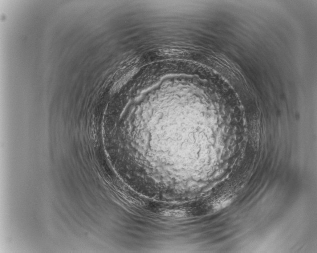 X0000060260653200511010914