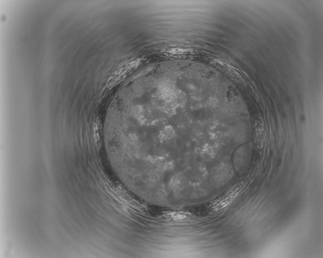 X0000060260654200511010914