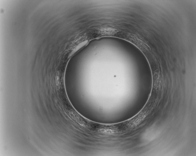 X0000060260655200511010914