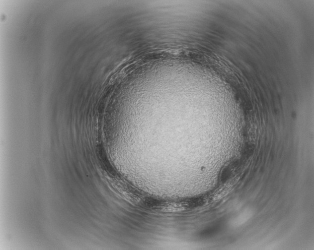 X0000060260656200511010914