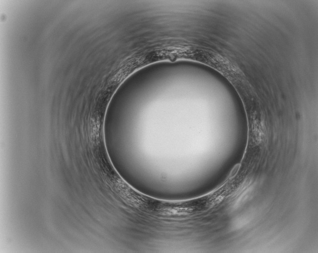 X0000060260657200511010914