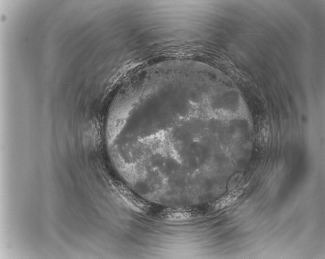 X0000060260658200511010914