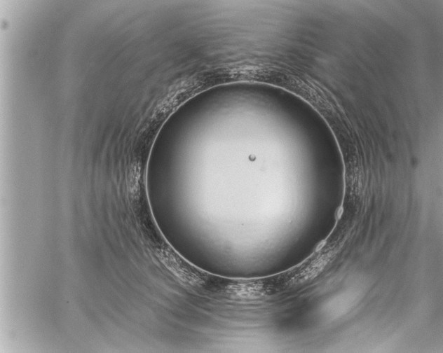 X0000060260660200511010914