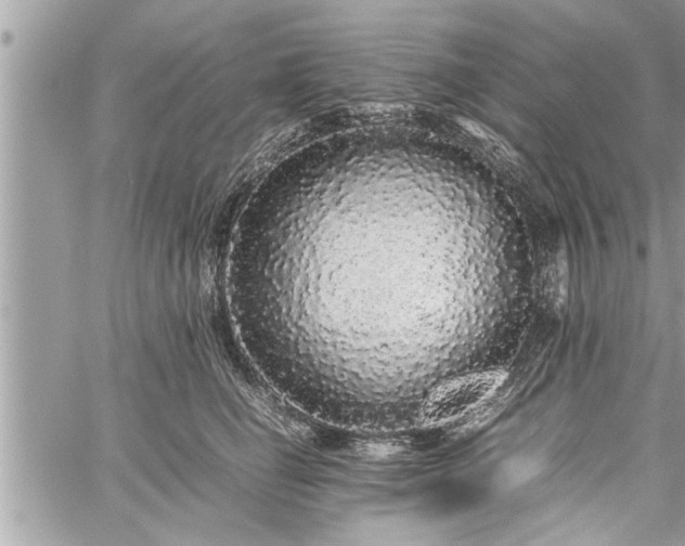 X0000060260662200511010914