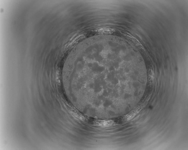 X0000060260663200511010914