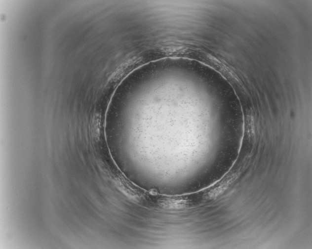 X0000060260664200511010914