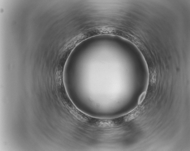 X0000060260666200511010914