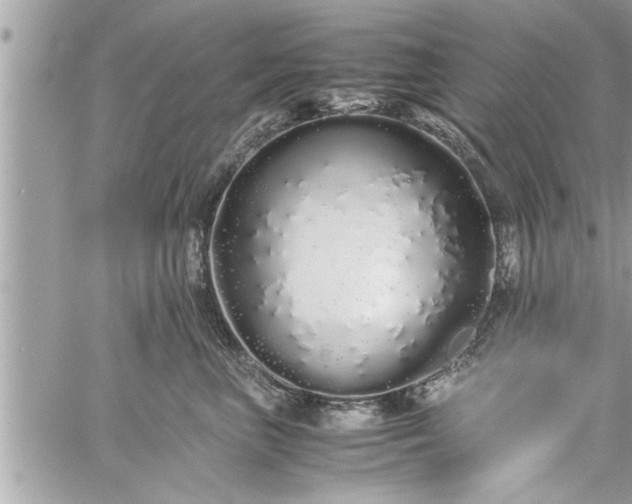 X0000060260667200511010914