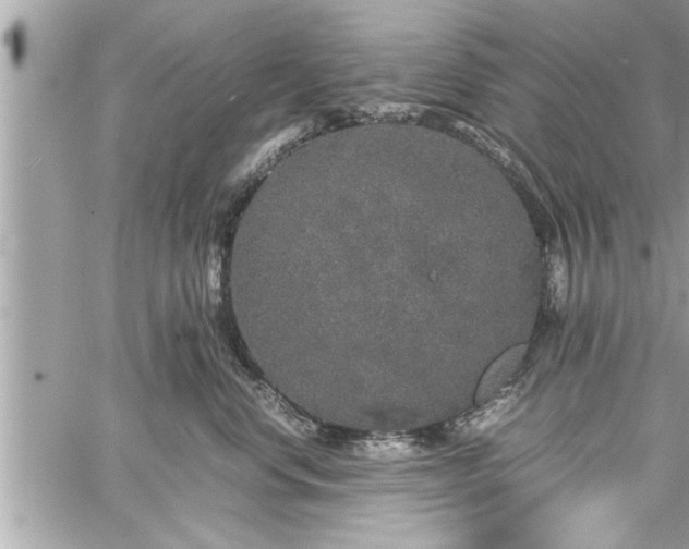 X0000060260668200511010914