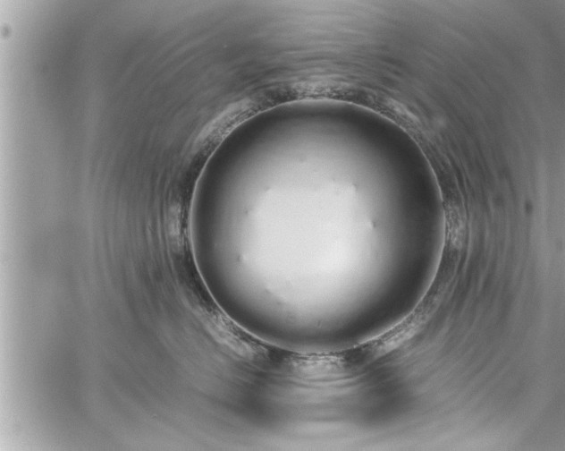 X0000060260670200511010914