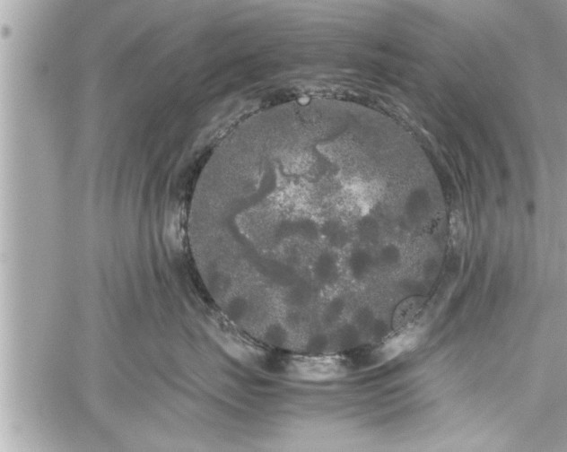 X0000060260671200511010914