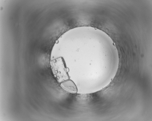 X0000060260672200511010914