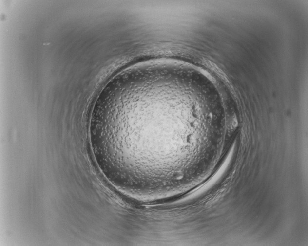 X0000060260673200511010913