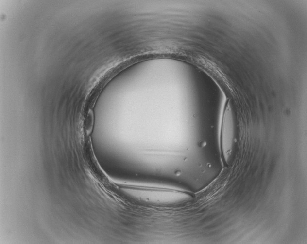 X0000060260676200511010913