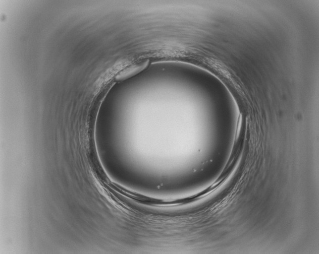 X0000060260677200511010913