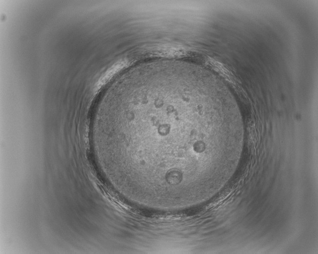 X0000060260679200511010913