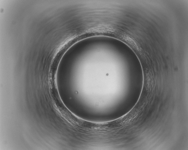 X0000060260680200511010913