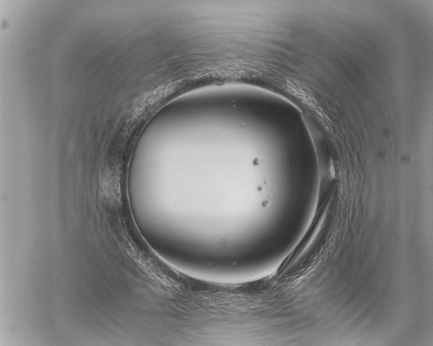 X0000060260681200511010913