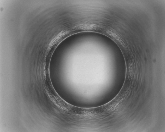 X0000060260682200511010913