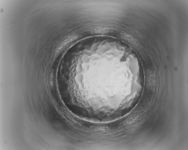 X0000060260683200511010913