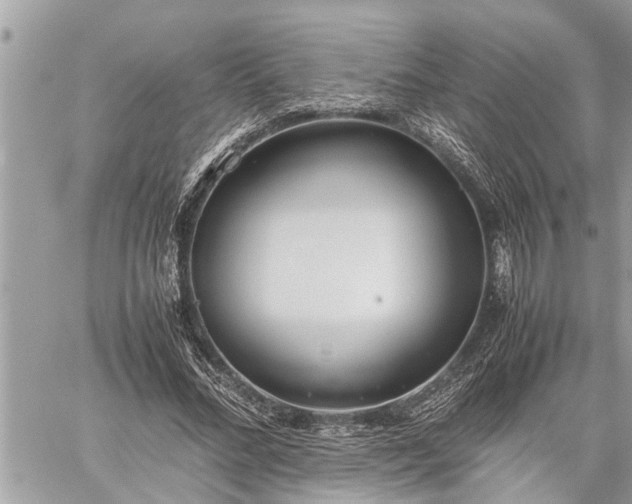 X0000060260684200511010913