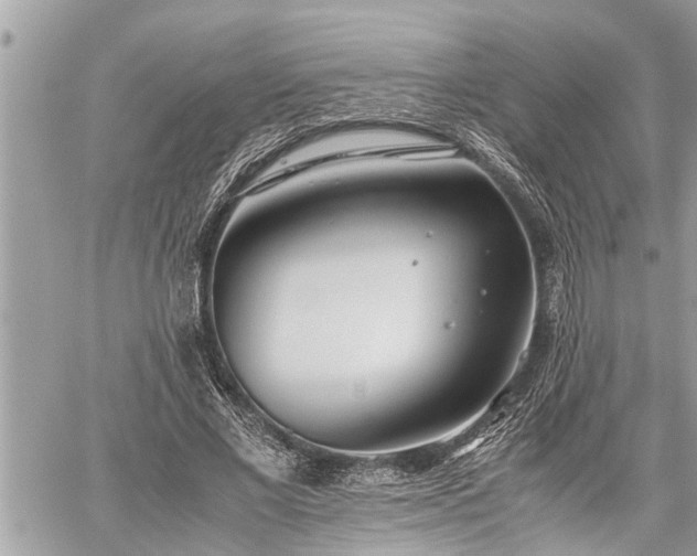 X0000060260685200511010913