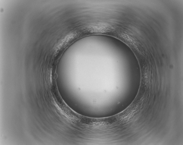 X0000060260686200511010913