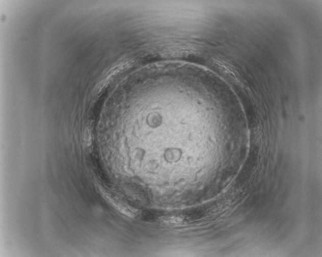 X0000060260687200511010913