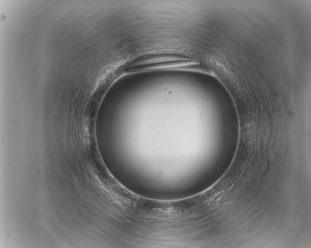 X0000060260688200511010913