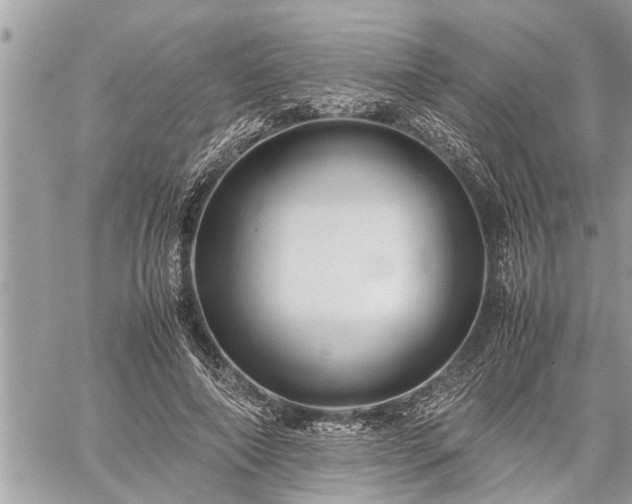 X0000060260690200511010913