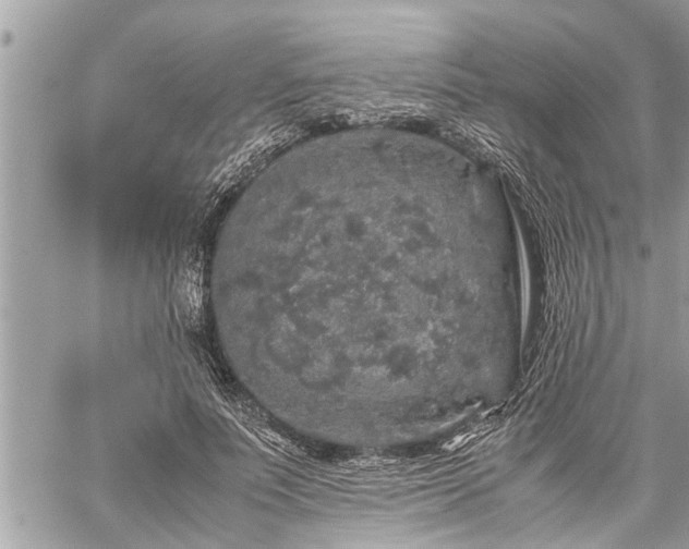 X0000060260691200511010913