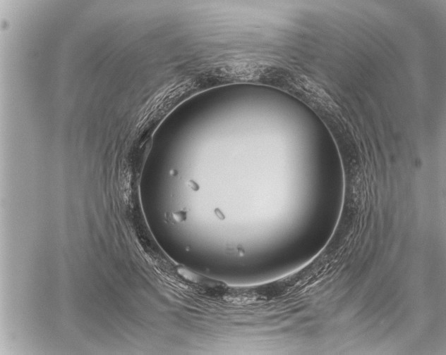 X0000060260693200511010913