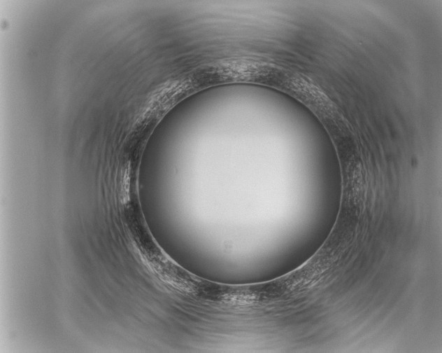 X0000060260694200511010913