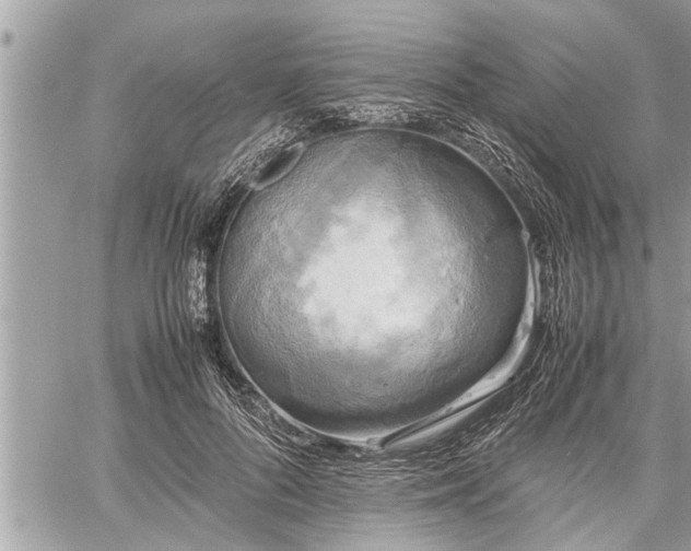 X0000060260696200511010913