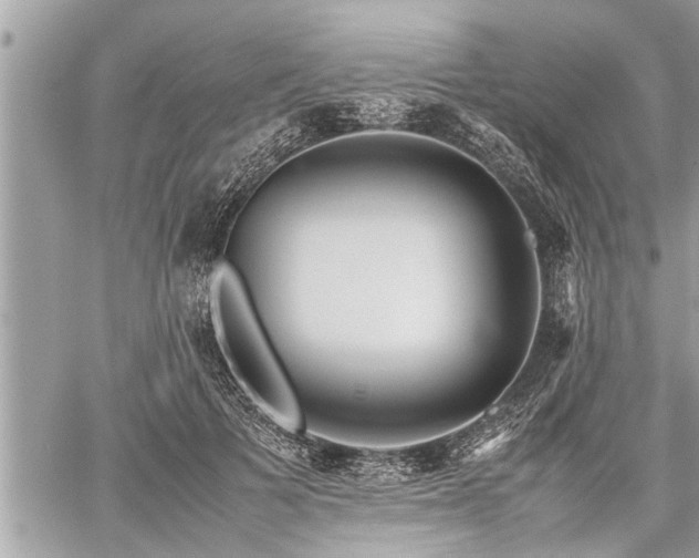 X0000060260697200511010913